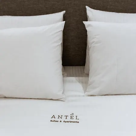 Apartment Antel & *